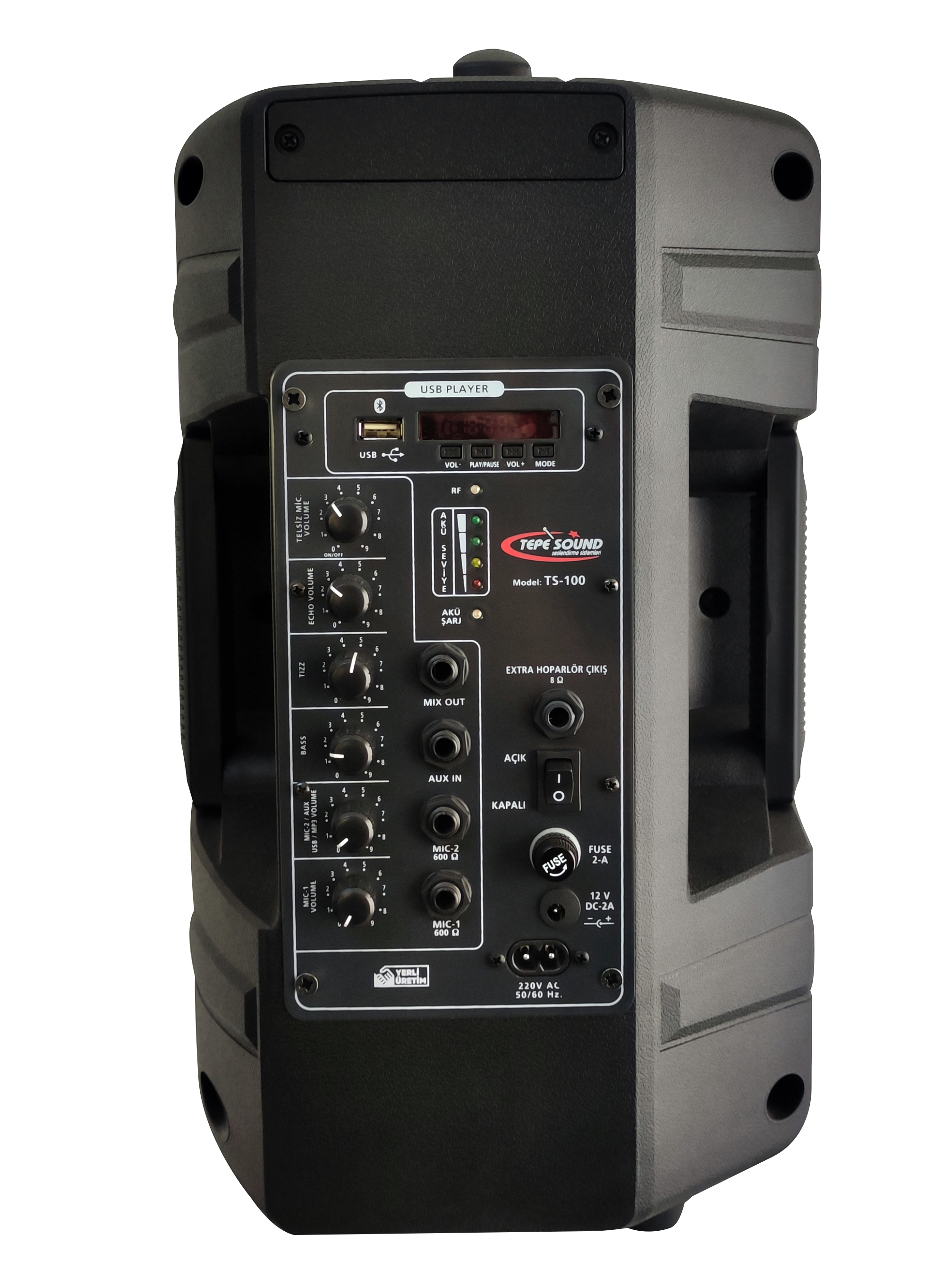 Tepe Sound TS-100 Echo